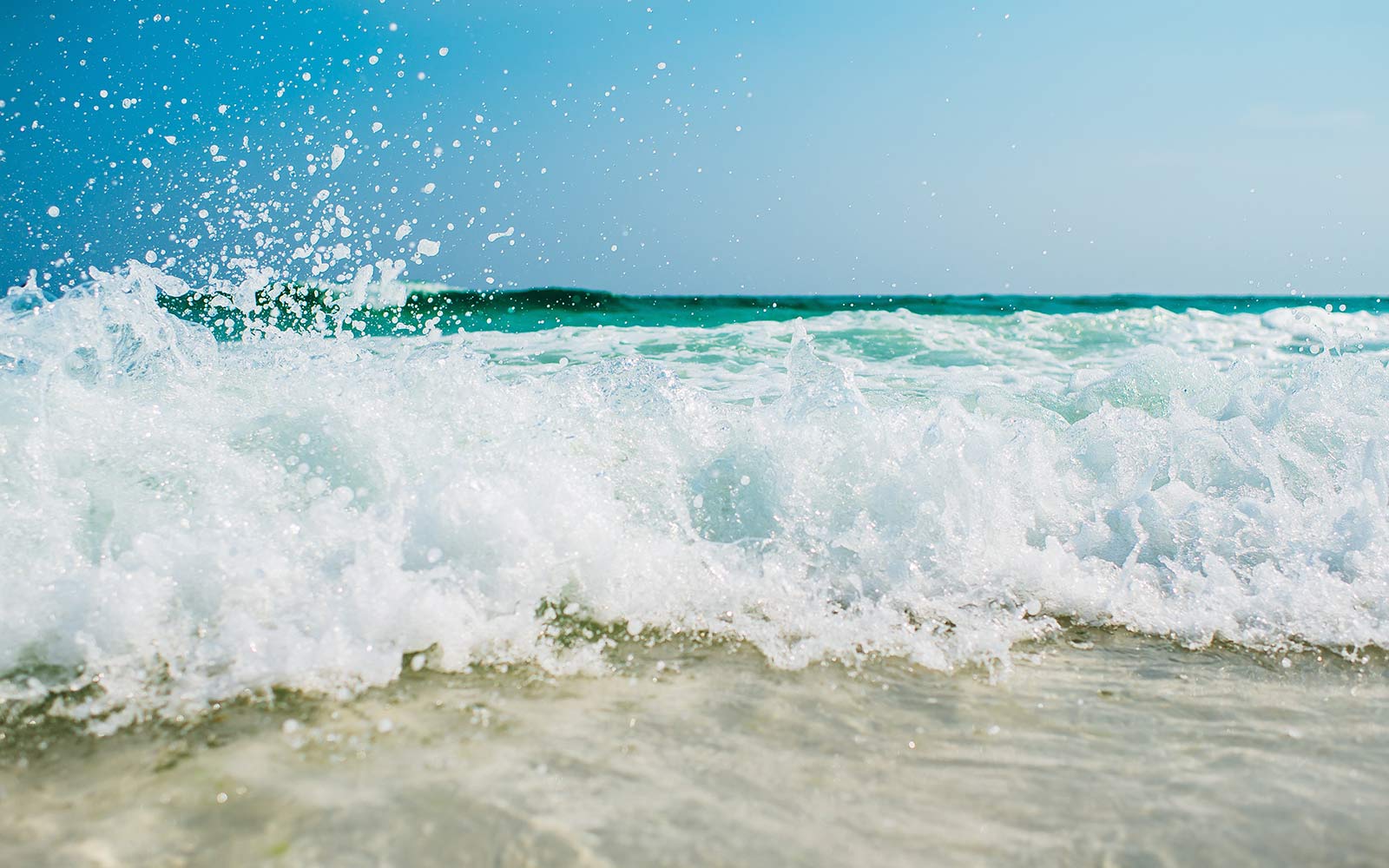 элитный отдых для всей семьи